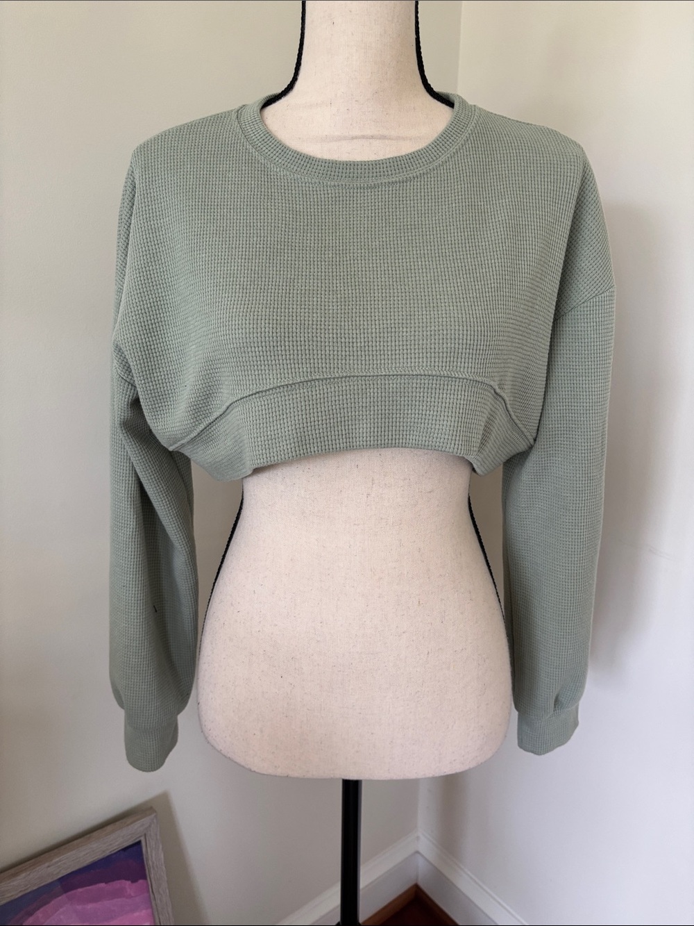Dazy Cropped Waffle-Knit Crewneck Sweater in Sage Small